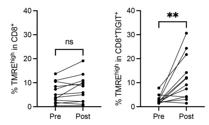 Katy Beckermann: Mitochondrial State of T Cells May Predict Response to Checkpoint Inhibitors 2 Katy Beckermann: Mitochondrial State of T Cells May Predict Response to Checkpoint Inhibitors