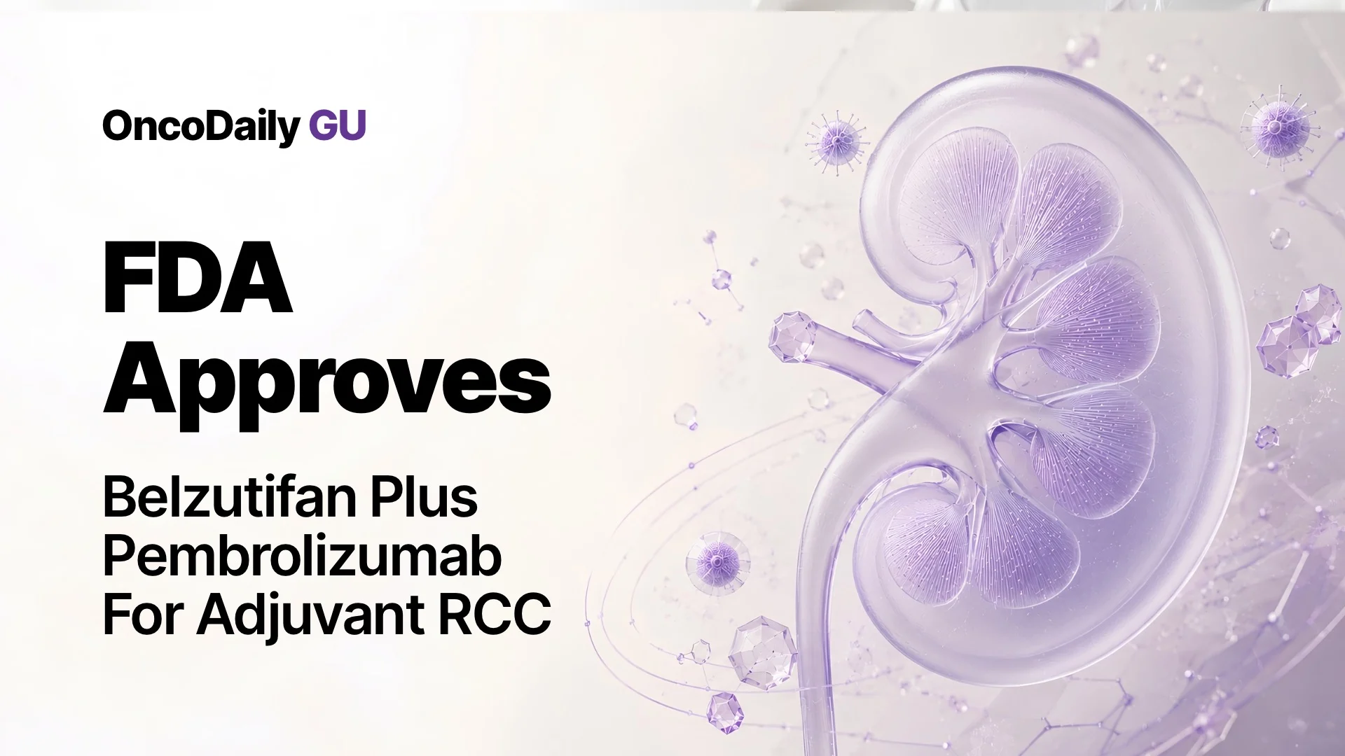 FDA Approves Belzutifan Plus Pembrolizumab for Adjuvant RCC