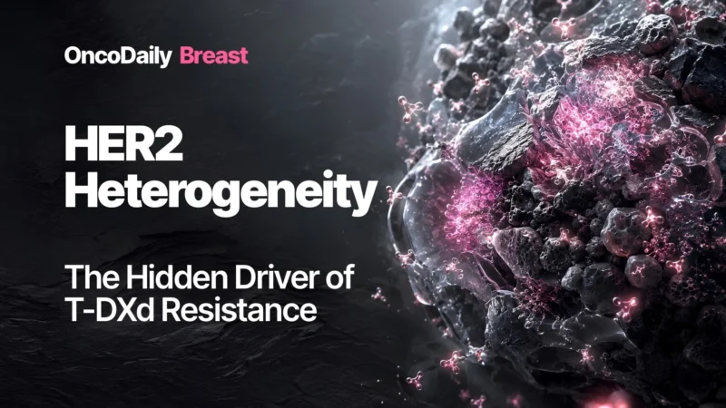 HER2-Low Subclones Drive T-DXd Resistance in HER2-Heterogeneous Breast Cancer Models