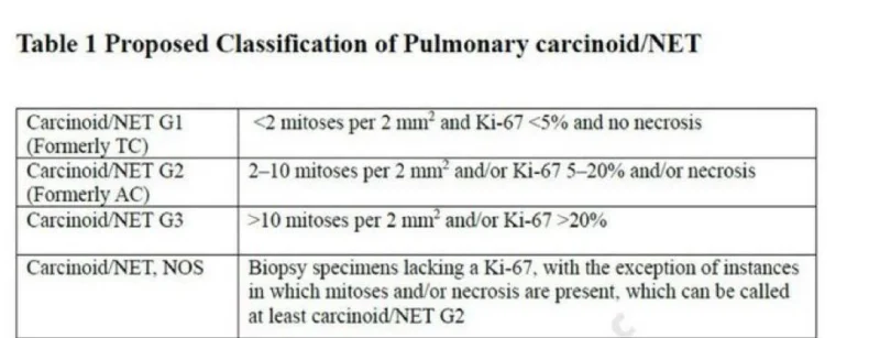Nieves Martinez Lago: IASLC Update on Pulmonary NENs Classification