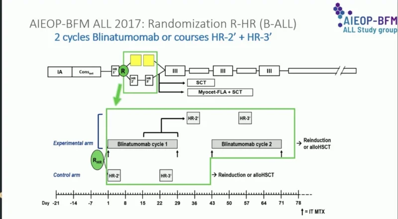 Talha Badar: Blinatumomab Improves Outcomes in High Risk B-ALL 2 Talha Badar: Blinatumomab Improves Outcomes in High Risk B-ALL
