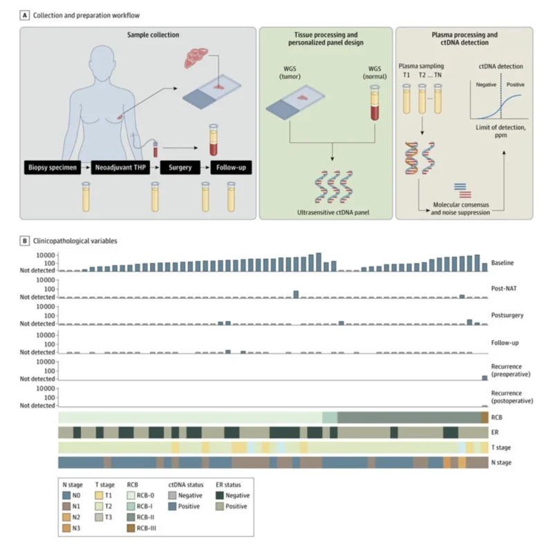 Paolo Tarantino: Advancing MRD in HER2-Positive Breast Cancer