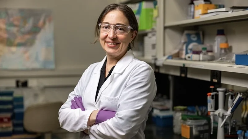 Emily Dykhuizen Investigates How Chromatin Regulation Influences Cancer Metastasis – Purdue Institute for Cancer Research