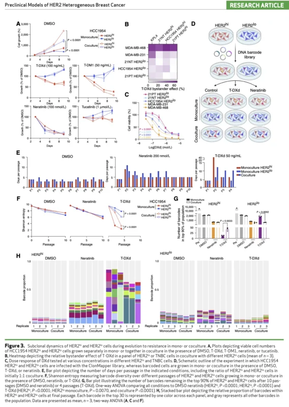 HER2-Low Subclones Drive T-DXd Resistance in HER2-Heterogeneous Breast Cancer Models 4 HER2-Low