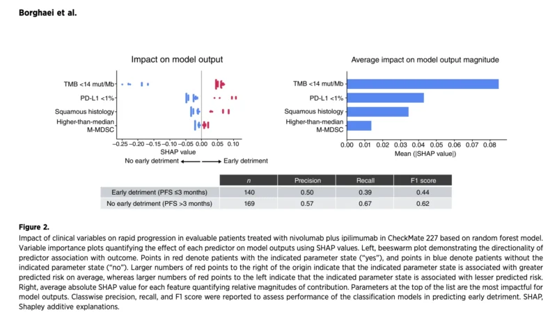 Nivolumab Plus Ipilimumab