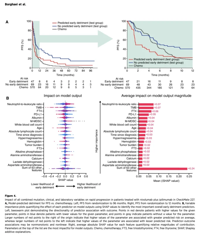 Nivolumab Plus Ipilimumab