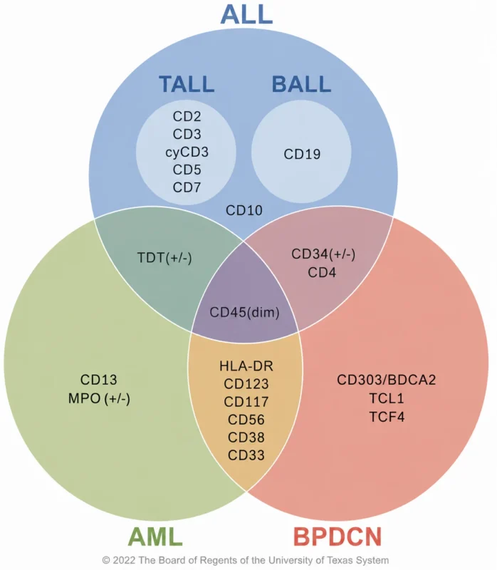 Blastic Plasmacytoid Dendritic Cell Neoplasm (BPDCN): Current Perspectives on an Ultra-Rare Malignancy 3 Blastic Plasmacytoid Dendritic Cell Neoplasm (BPDCN): Current Perspectives on an Ultra-Rare Malignancy