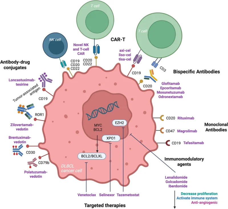 Diffuse Large B-Cell Lymphoma (DLBCL): Molecular Heterogeneity and the Evolution of Therapy 4 Diffuse Large B-Cell Lymphoma (DLBCL): Molecular Heterogeneity and the Evolution of Therapy