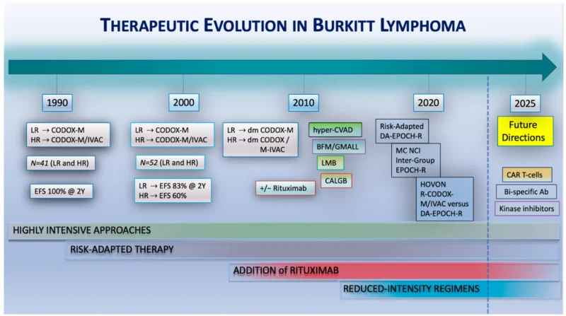 Burkitt Lymphoma: Among the Fastest Growing Yet Most Curable Human Cancers