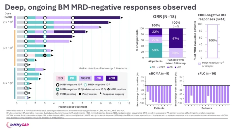 Updated inMMyCAR Results: The First Sponsored Multicenter Study of In Vivo CAR-T Therapy in RRMM 3 Updated inMMyCAR Results: The First Sponsored Multicenter Study of In Vivo CAR-T Therapy in RRMM
