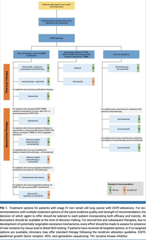 ASCO Living Guideline 2026.3.0 Updates Treatment Roadmap for Stage IV NSCLC With Driver Alterations 2 ASCO Living Guideline