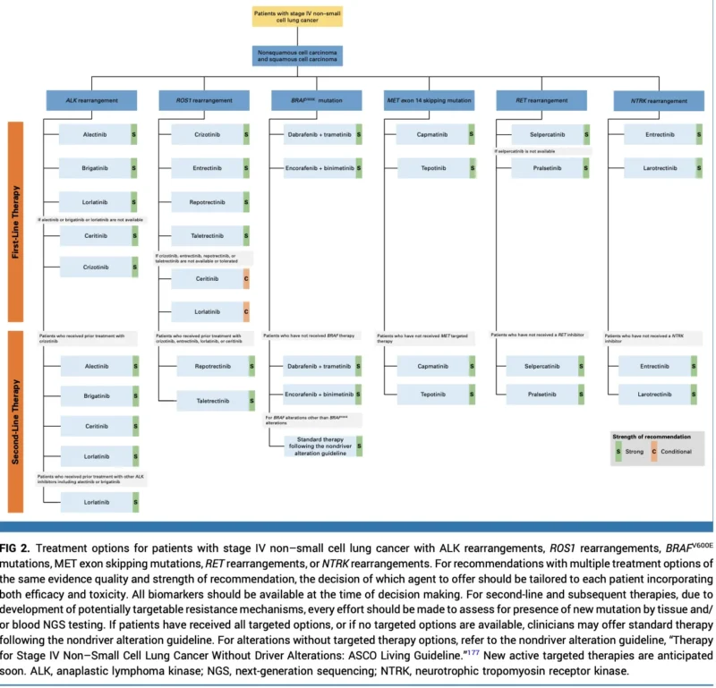 ASCO Living Guideline 2026.3.0 Updates Treatment Roadmap for Stage IV NSCLC With Driver Alterations 3 ASCO Living Guideline