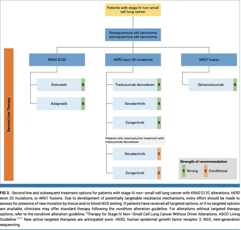 ASCO Living Guideline 2026.3.0 Updates Treatment Roadmap for Stage IV NSCLC With Driver Alterations 4 ASCO Living Guideline