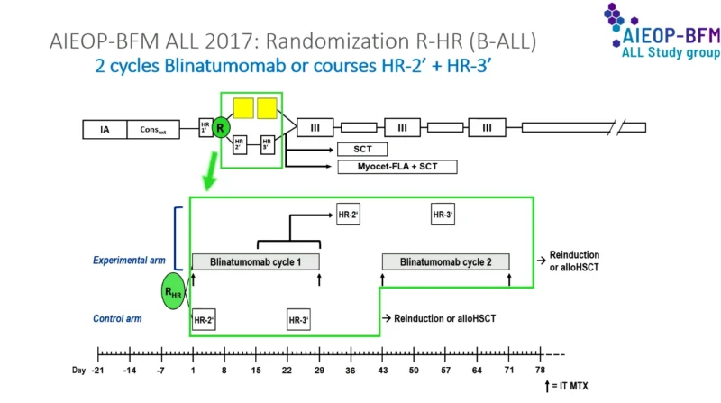 AIEOP-BFM ALL 2017: Blinatumomab Successfully Replaces Two Intensive Chemotherapy Blocks in High-Risk Pediatric B-ALL 2 AIEOP-BFM ALL 2017: Blinatumomab Successfully Replaces Two Intensive Chemotherapy Blocks in High-Risk Pediatric B-ALL