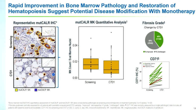 INCA033989: First-in-Class mutCALR-Targeted Antibody Shows Early Signs of Disease Modification in Myelofibrosis 5 INCA033989: First-in-Class mutCALR-Targeted Antibody Shows Early Signs of Disease Modification in Myelofibrosis