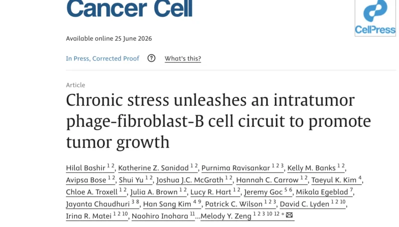 Melody Zeng: How Does Chronic Stress Affect Our Gut Microbiome