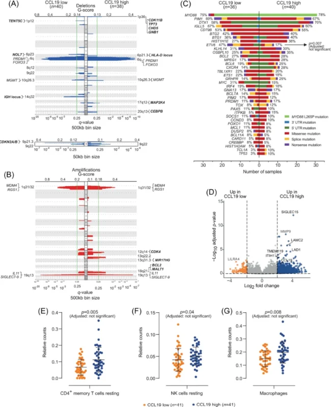 Spatial and Multi-Omics Reveal Pericyte-Derived CCL19 as an Adverse Prognostic Factor in CNS Lymphoma