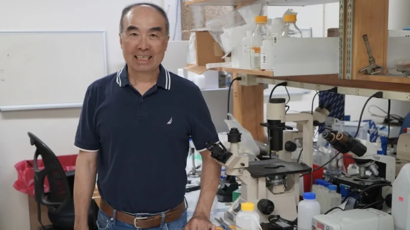 Celebrating YiPing Chen’s Election as American Association for the Advancement of Science Fellow – Tulane Cancer Center