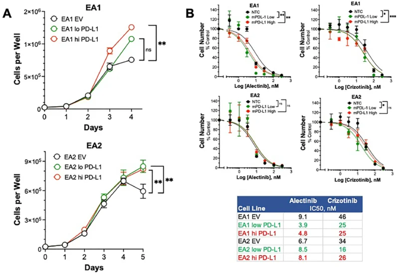 High PD-L1 Expression Linked To Shorter PFS With First-Line ALK TKIs In ALK-Rearranged NSCLC 4 High PD-L1