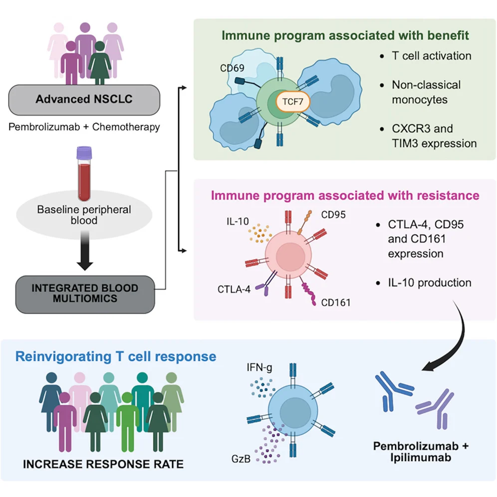 metastatic NSCLC