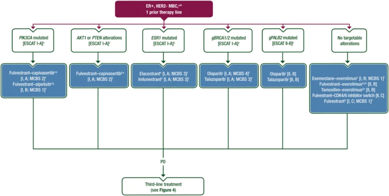 ESMO Updates Metastatic Breast Cancer Guideline: A More Molecular, Subtype-Driven Roadmap For Care 4 ESMO