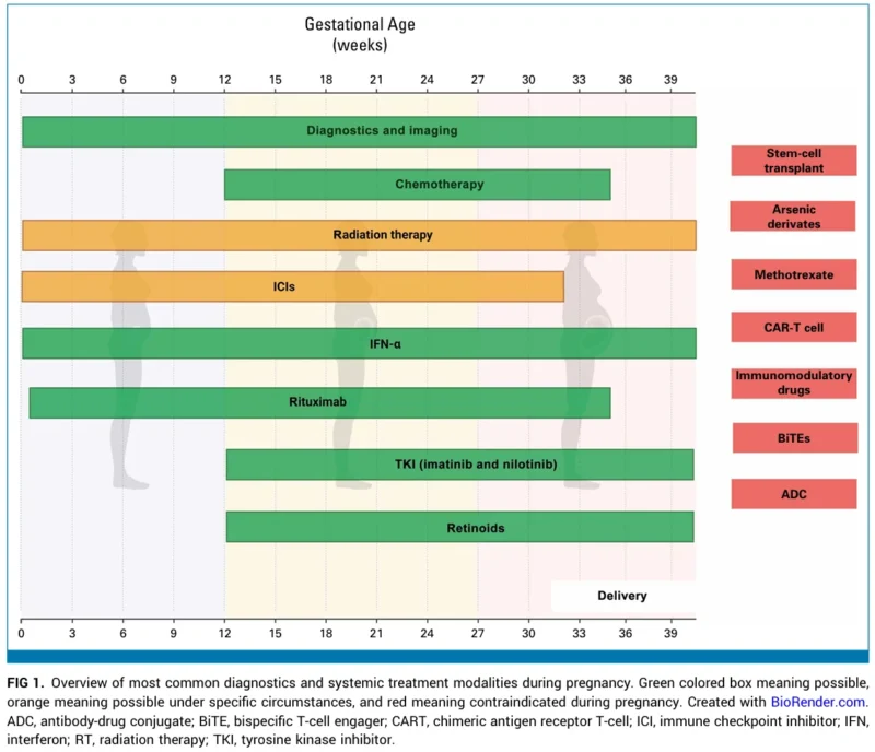 Blood Cancers in Women: Fertility After Treatment and Cancer During Pregnancy