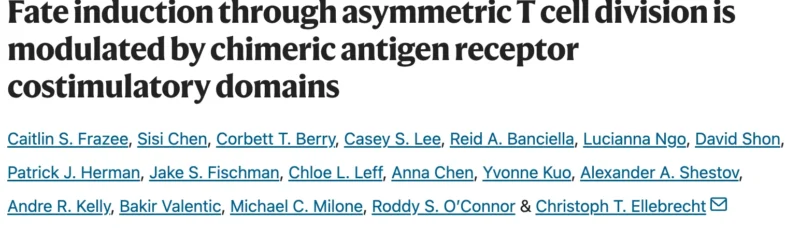 Yan Leyfman: Why do Some CAR T Cells Persist for Years While Others Quickly Disappear? 2 Yan Leyfman