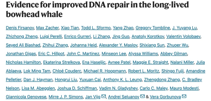 Vivek Subbiah