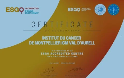 Stephanie Nougaret: Proud to Be Part of an Exceptional Ovarian Cancer Care Team 2 Stephanie Nougaret: Proud to Be Part of an Exceptional Ovarian Cancer Care Team