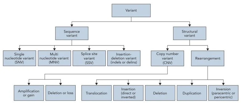 A Step Toward Standardized Biomarker Testing in Cancer Care - NCCN 2 A Step Toward Standardized Biomarker Testing in Cancer Care - NCCN