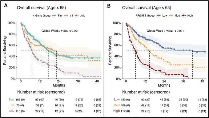 Curtis Lachowiez: Happy to Share New AML Risk Insights After HMA-VEN Treatment 4 Curtis Lachowiez: Happy to Share New AML Risk Insights After HMA-VEN Treatment