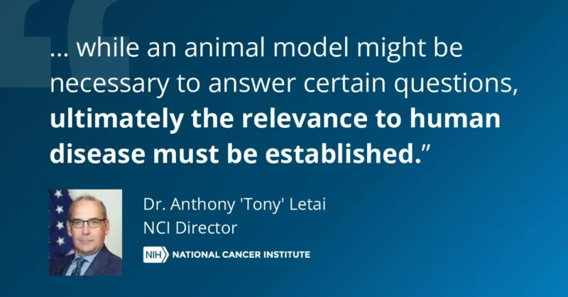 When Should Animal Models Be Used in Cancer Research? - NCI