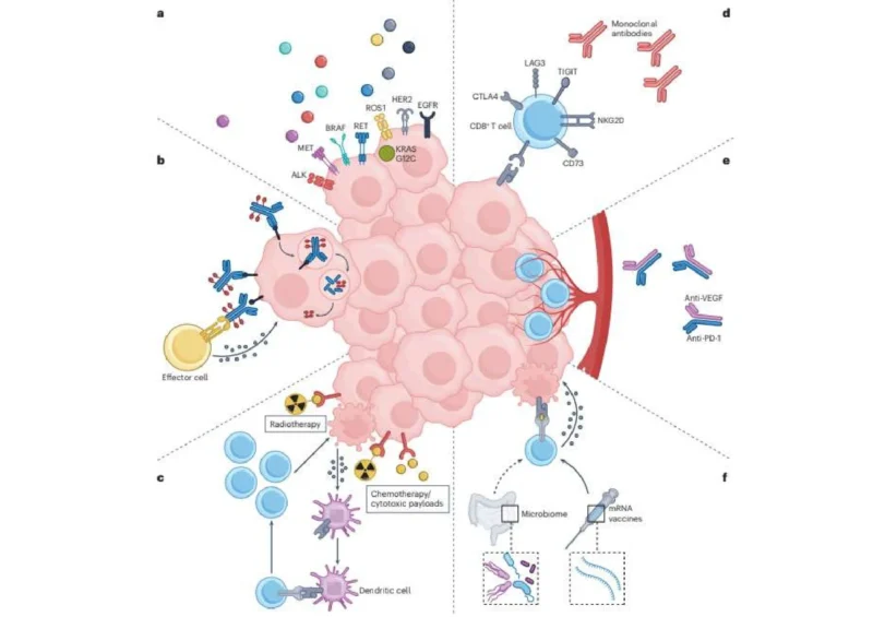 Yago Garitaonaindía: The Future of Perioperative NSCLC is Adaptive and Biomarker-Driven 2 Yago Garitaonaindía: The Future of Perioperative NSCLC is Adaptive and Biomarker-Driven