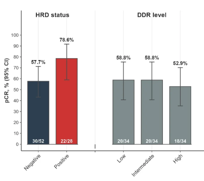 Eriseld Krasniqi: Platinum-Based Neoadjuvant Chemotherapy Achieves 60.2% pCR Rate in TNBC