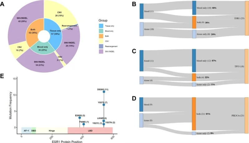 Liang Cheng: Paired Tissue and ctDNA Profiling Unlocks New Breast Cancer Resistance Mechanisms 2 Liang Cheng: Paired Tissue and ctDNA Profiling Unlocks New Breast Cancer Resistance Mechanisms