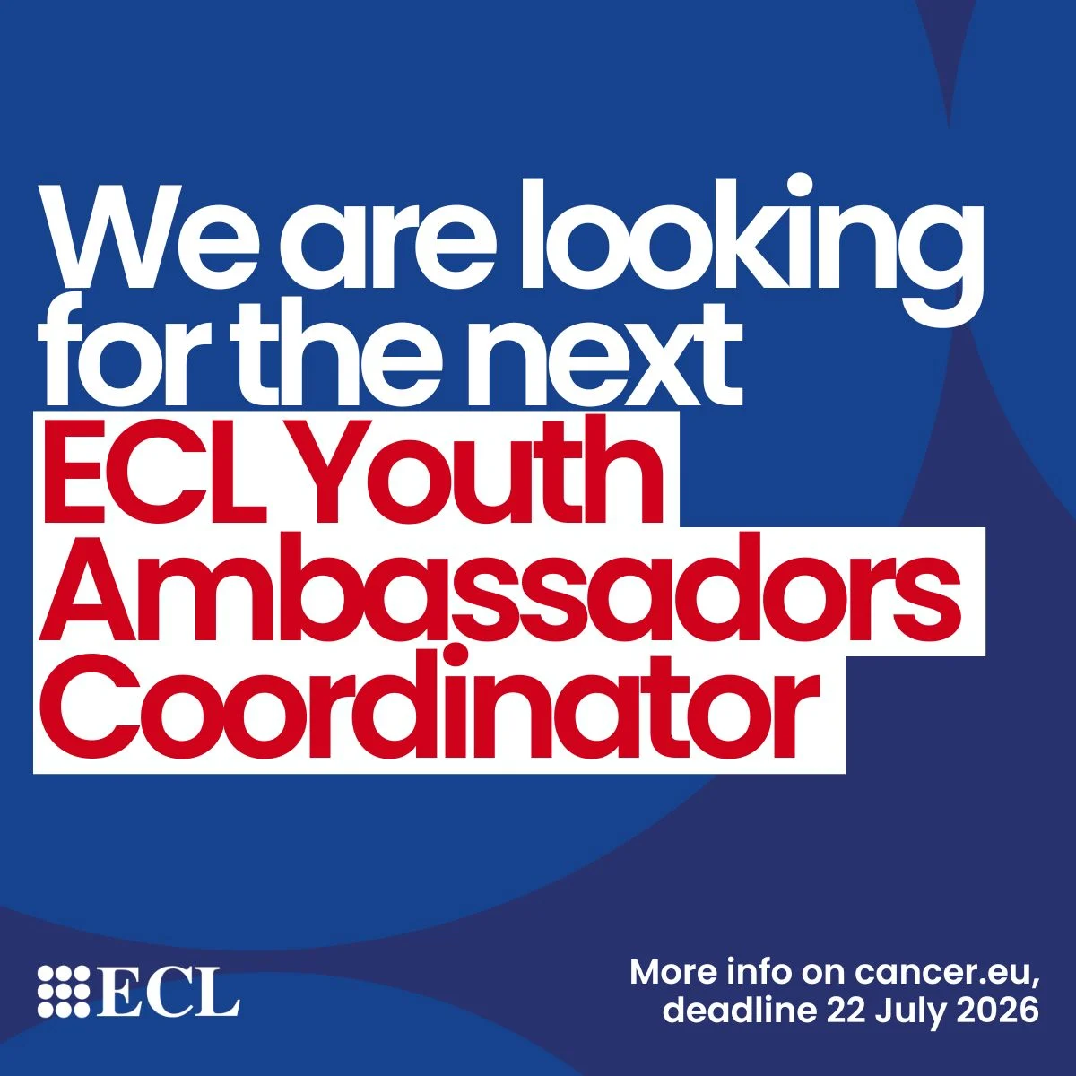 Applications Open for Youth Ambassadors Programme Coordinator - ECL 2 Applications Open for Youth Ambassadors Programme Coordinator - ECL