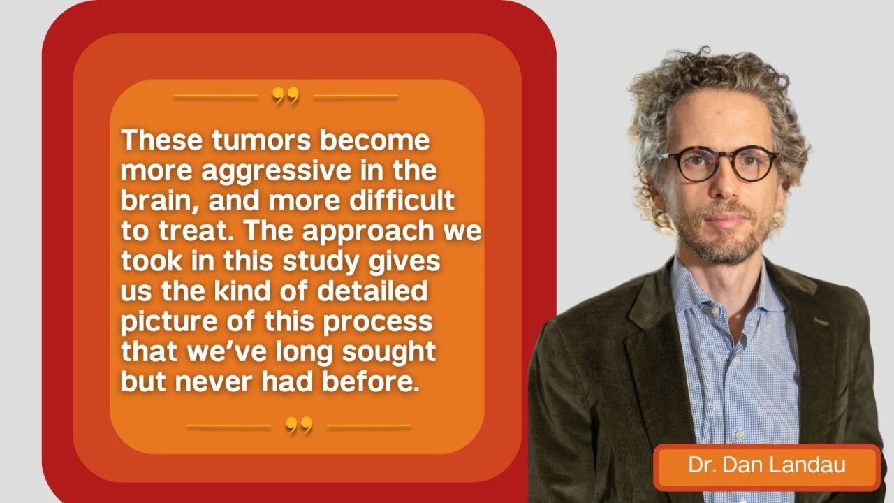 New Study Reveals How IDH Gliomas Become More Aggressive - Weill Cornell Medicine
