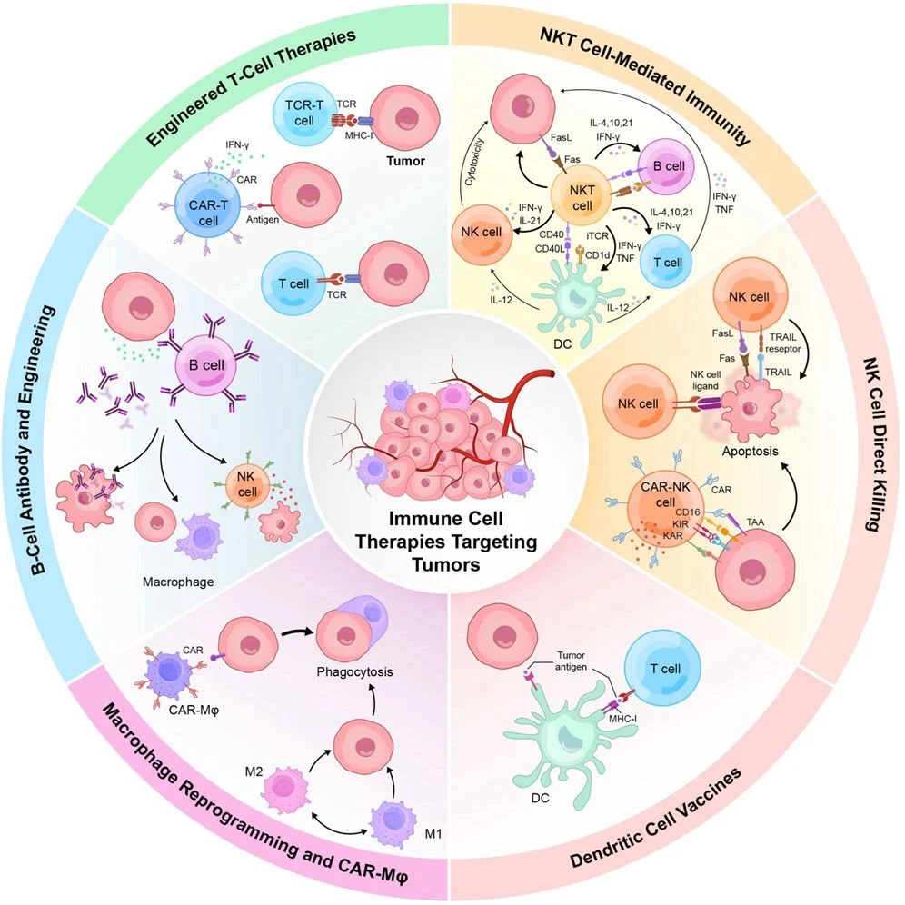 10 Must-Read Posts on Cellular Immunotherapy This Week