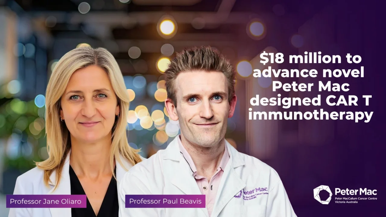 Peter Mac’s Precision-Guided CAR T-Cell Therapy Advances to First-in-Human Trial