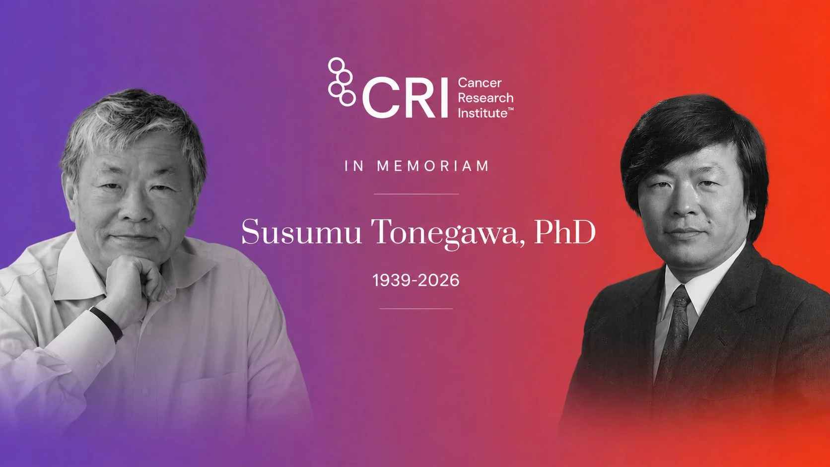 Alicia Zhou: How V(D)J Recombination Permanently Changed The Way We See Biology 2 Alicia Zhou: How V(D)J Recombination Permanently Changed The Way We See Biology
