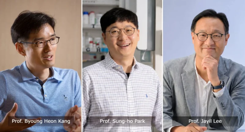 UNIST Secures Five Projects In The 2026 Basic Research Laboratory Initiative 2 UNIST Secures Five Projects In The 2026 Basic Research Laboratory Initiative