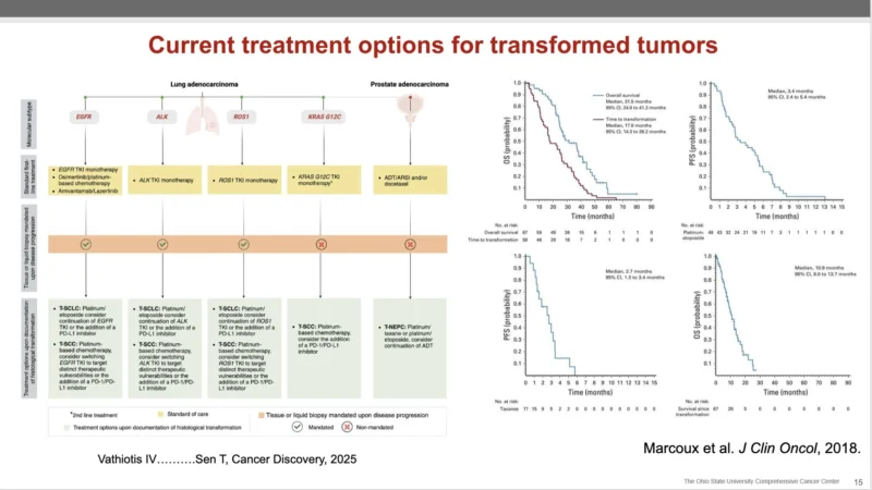 Eric Singhi: Key Advances in Lung Cancer at BTGLung2026 3 Eric Singhi: Key Advances in Lung Cancer at BTGLung2026