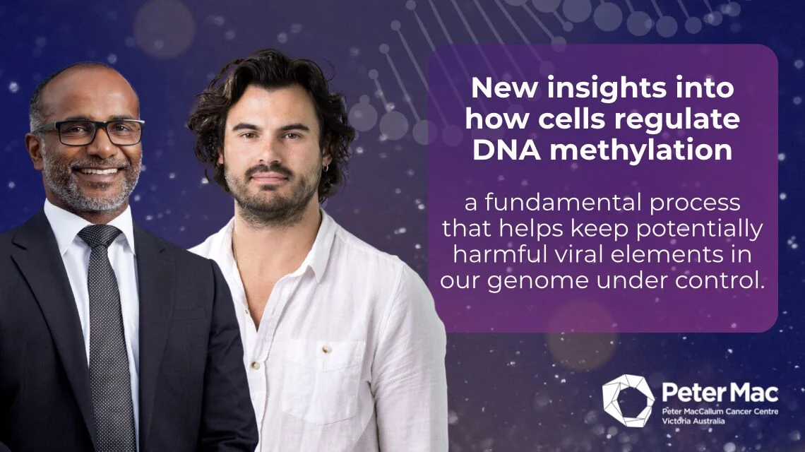Peter MacCallum Cancer Centre Uncovered How Cells Regulate DNA Methylation 2 Peter MacCallum Cancer Centre Uncovered How Cells Regulate DNA Methylation