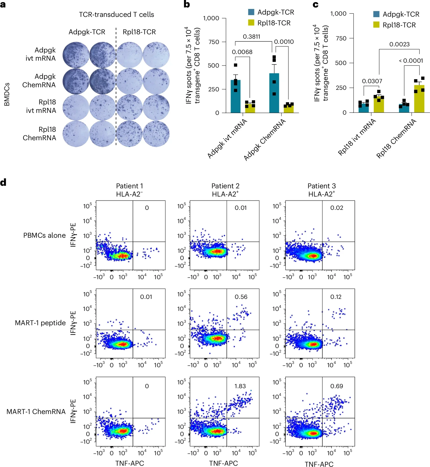ChemRNA: A New Generation of Simplified RNA Vaccines for Cancer Immunotherapy 3 ChemRNA
