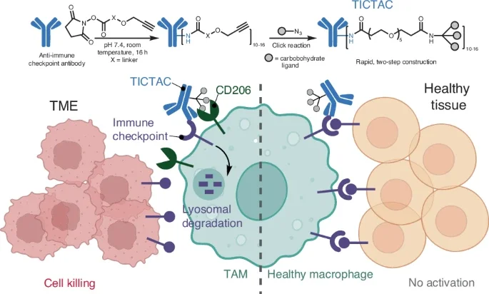 10 Must-Read Posts in Immuno-Oncology This Week 6 10 Must-Read Posts in Immuno-Oncology This Week