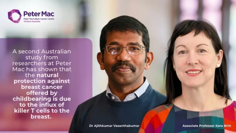 How Pregnancy Triggers a Long-Lasting Immune Response in the Breast – Peter MacCallum Cancer Centre