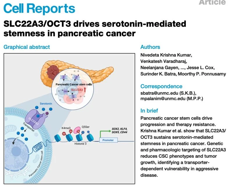 Nivedeta Krishna Kumar: SLC22A3/OCT3 Key Driver of Pancreatic Cancer Stemness 2 Nivedeta Krishna Kumar: SLC22A3/OCT3 Key Driver of Pancreatic Cancer Stemness