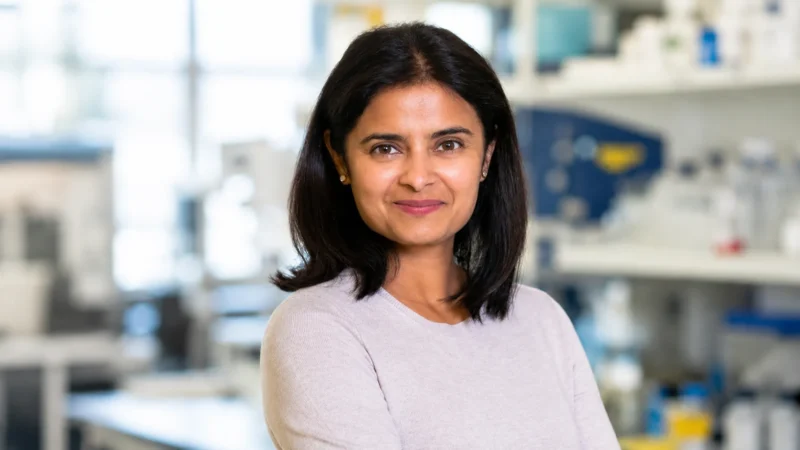 Priti Hegde Invites the Oncology Community to the SITC 41st Annual Meeting