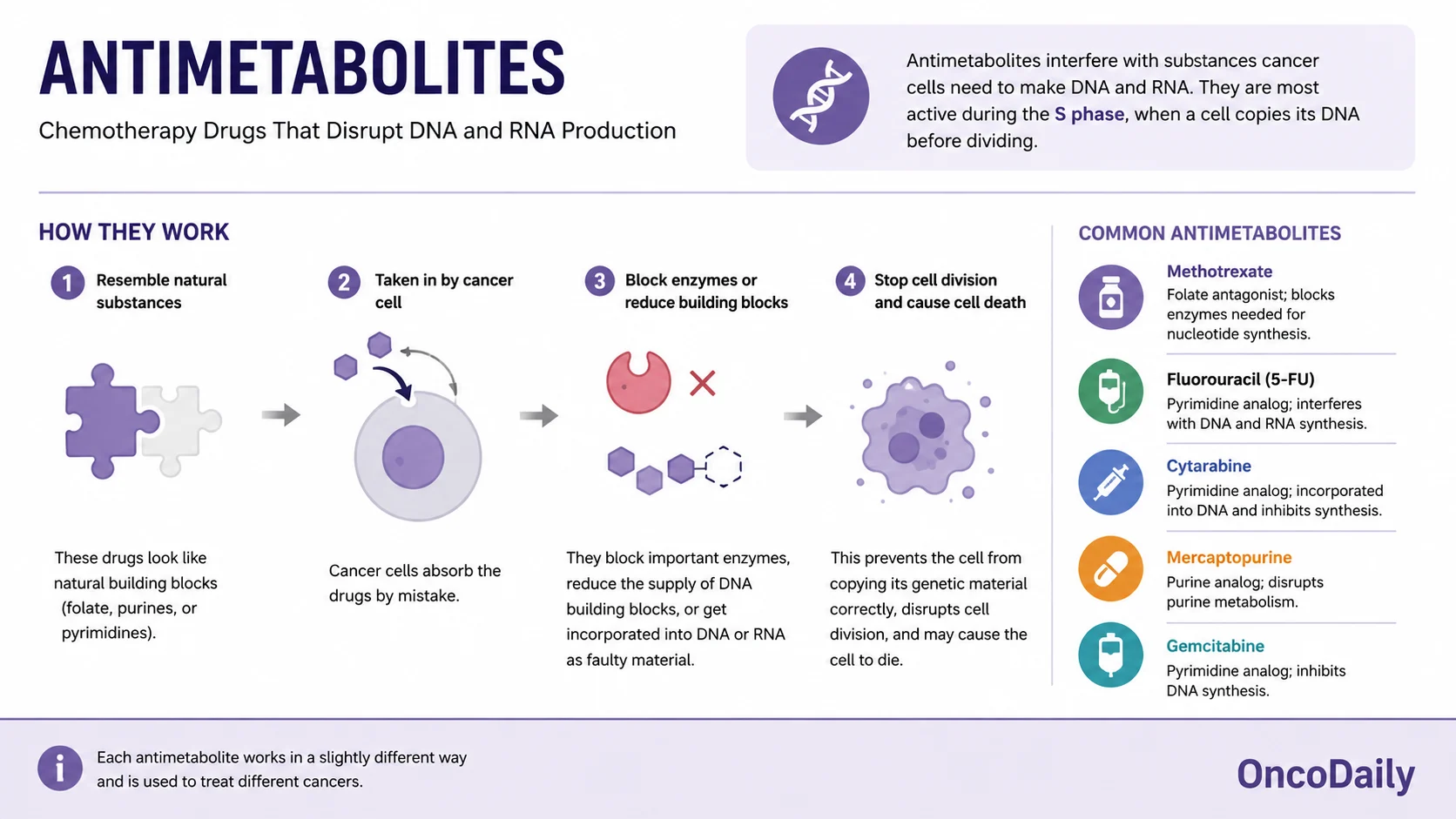 Chemotherapy Drugs