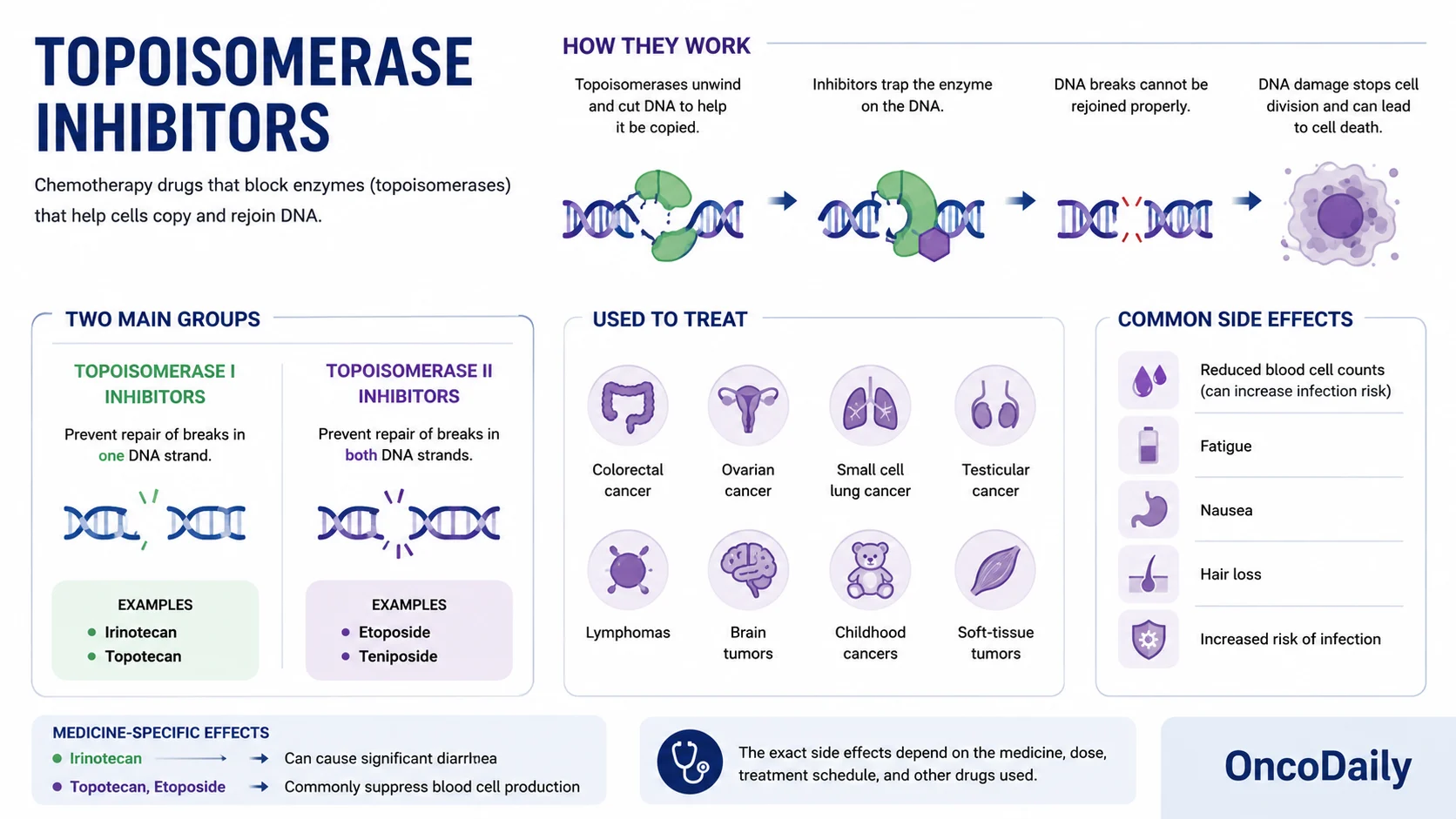Chemotherapy Drugs